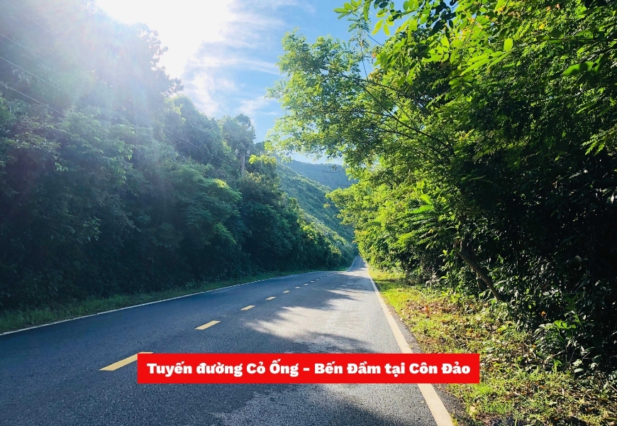 tuyen duong co ong ben dam con dao