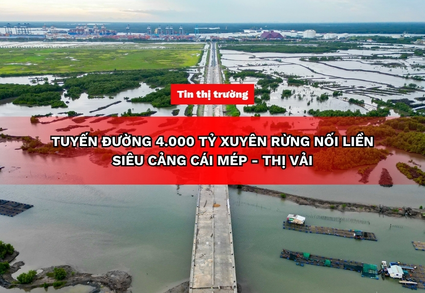 tuyen duong 4000 ty xuyen rung noi lien sieu cang cai mep thi vai